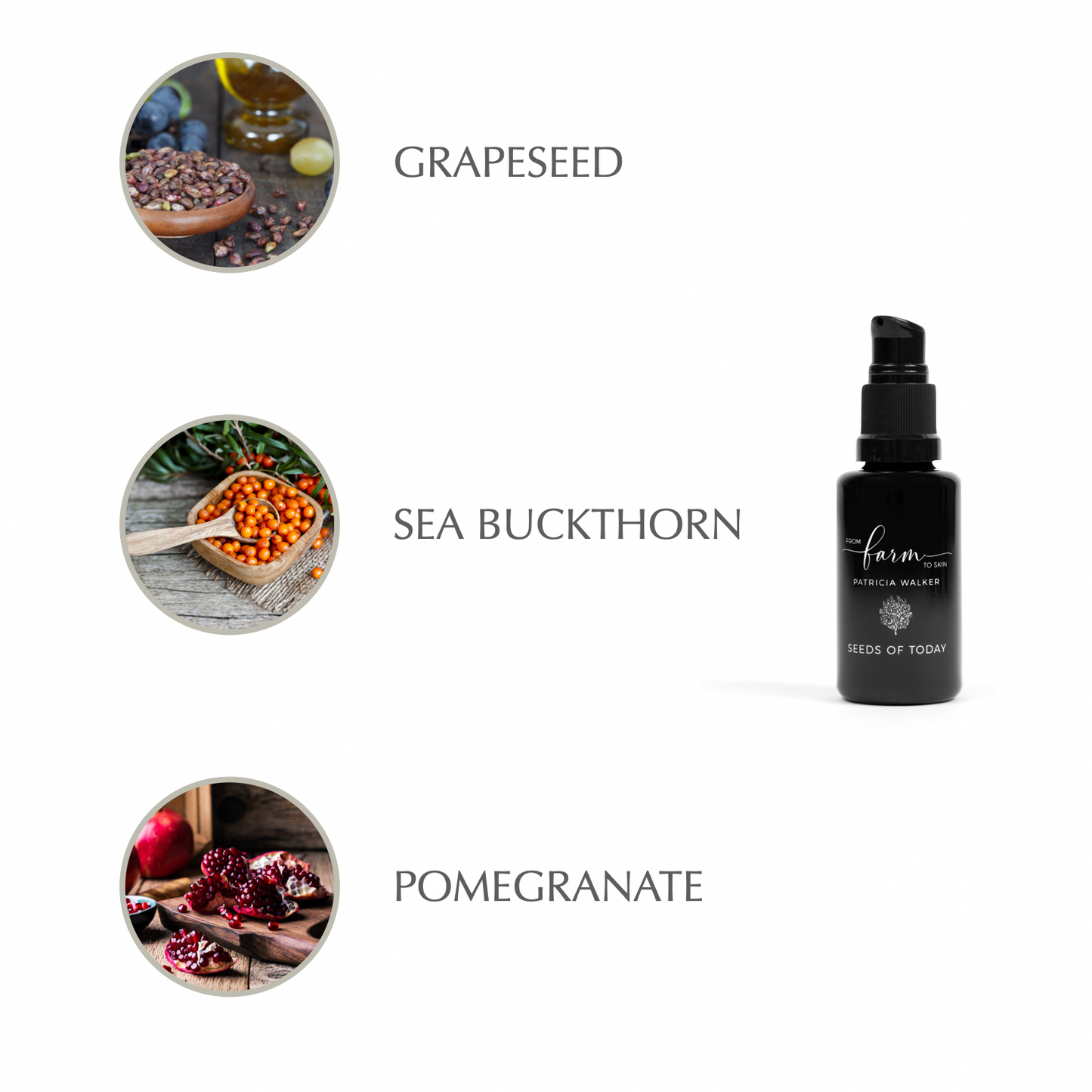 Seeds of Today Facial Serum