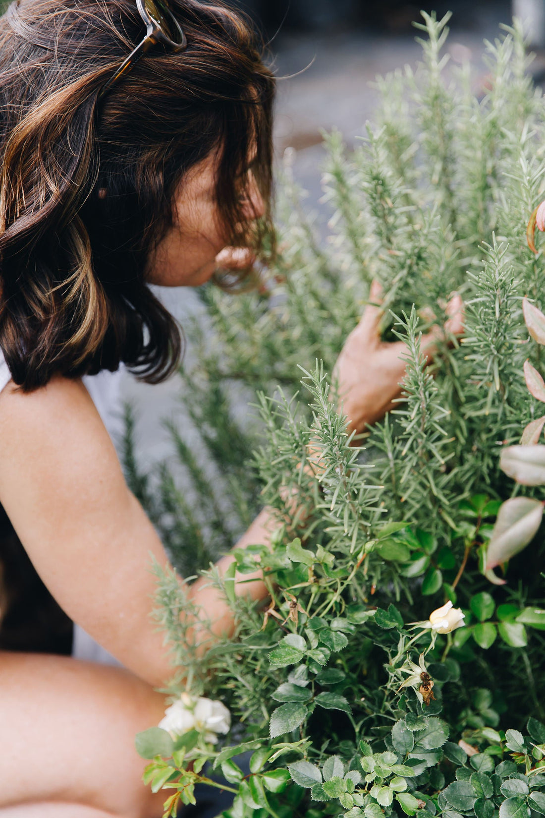 Your Skin's Microbiome and Why It Matters