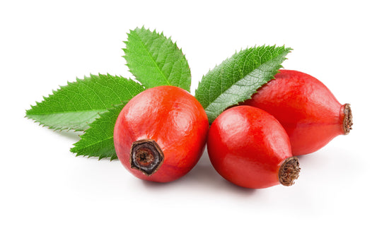 Why Rosehip Oil Is the Skincare Hero You Didn’t Know You Needed