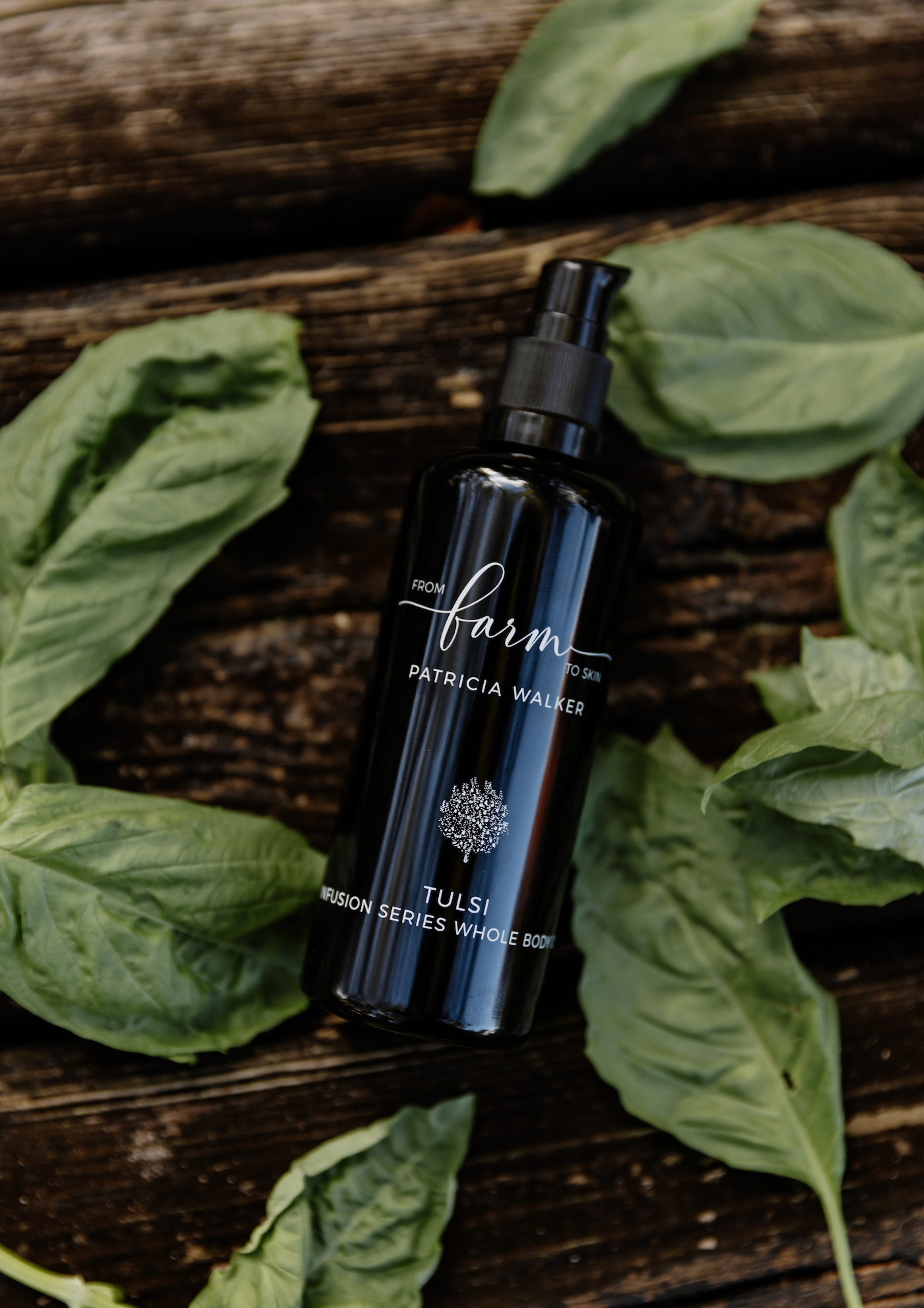 Infusion Series Whole Body Oil (Tulsi)